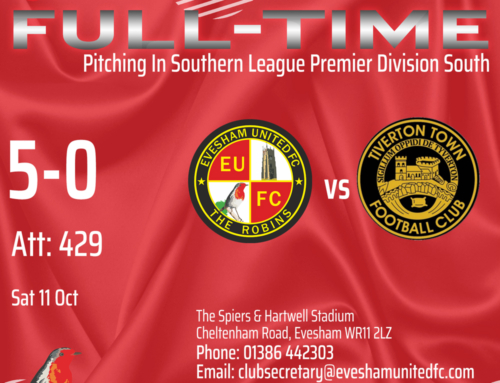 Robins Bounce Back in Style