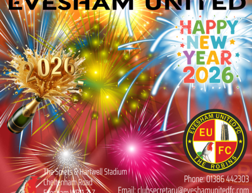 A Very Happy New Year from the Robins